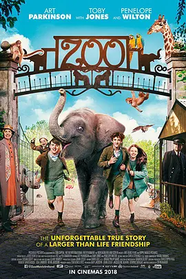 风筝电视剧免费观看dvd