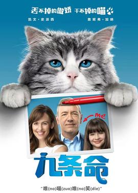 director教程