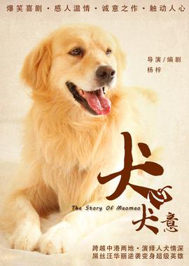 100道适合吃米饭的菜