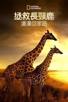 人山人海电影原型故事