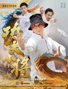 少帅全集免费播放