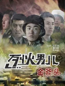 变形金刚2卷土重来 下载