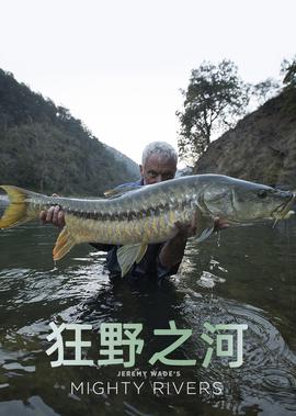 新霹雳游侠2020免费观看