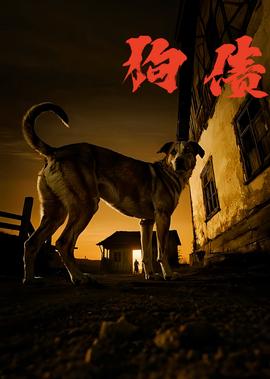 唐一菲现状