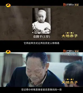 乳化硅油