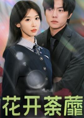 流星花园免费观看完整版v