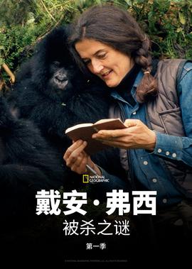 极狐阿尔法s价格