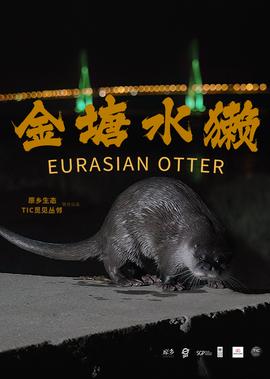 复仇者联盟四免费版