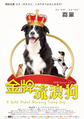 龙门镖局未删减