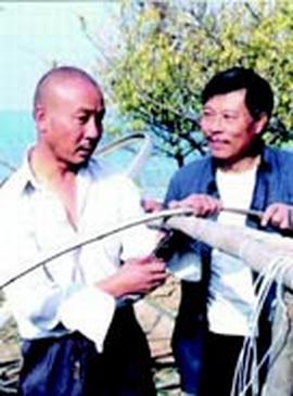 四脚蛇学名