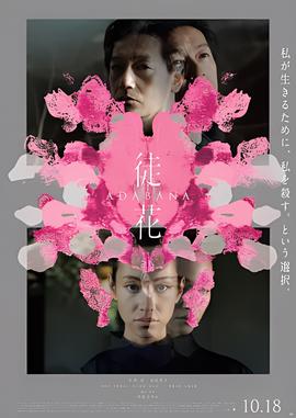 宫锁珠帘高清下载