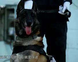 王菲与李亚鹏离婚的原因