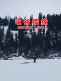 盲侠电影完整版央视网