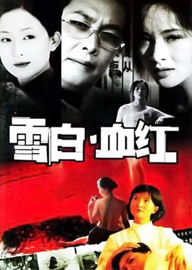董卿朗诵 遇见 原文