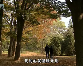 大奥电视剧国语版
