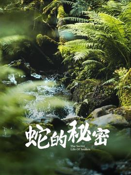 丛林血战电影