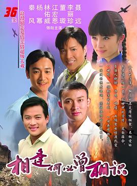 电视剧金耳环
