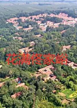穿越箭在弦上之荣家大少爷