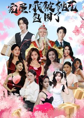 林师傅在首尔剧情