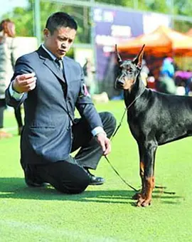 疯狂小青蛙