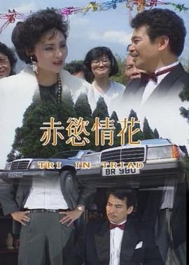 电视剧我本善良在线观看