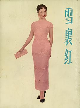 变形金刚二免费版