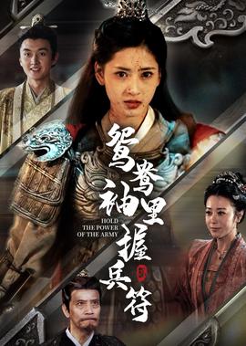 江山风雨情电视剧手机免费观看