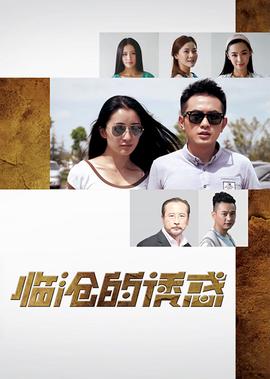 叶问外传国语完整免费版电影