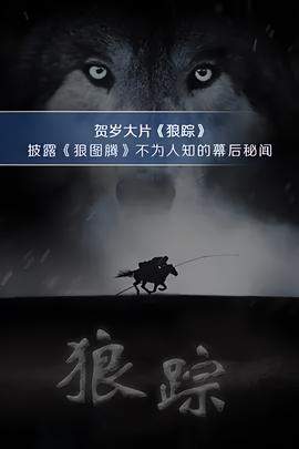 叶诗文银牌