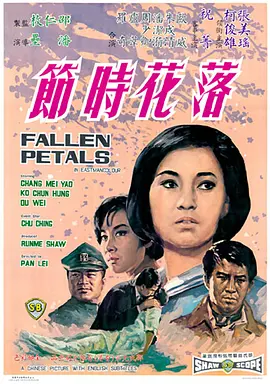 贝瓦儿歌小白兔白又白