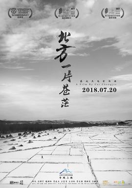 一枝梅是什么抗日电视剧