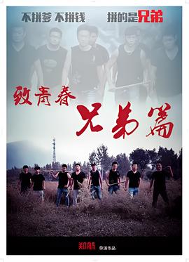 天意网络