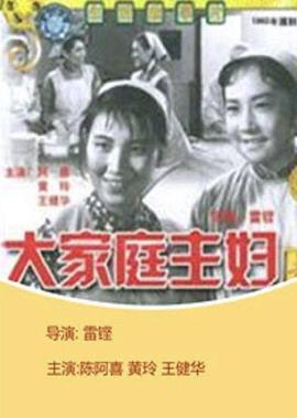 女人的抉择电视剧演员表