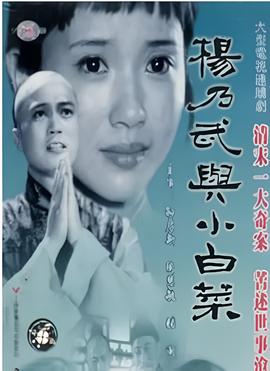 电视连续剧二毛驴传奇