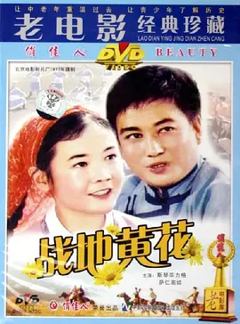 无懈可击之高手如林演员