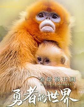 两世欢的含义