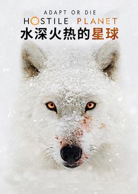 中国好声音张磊是哪一期