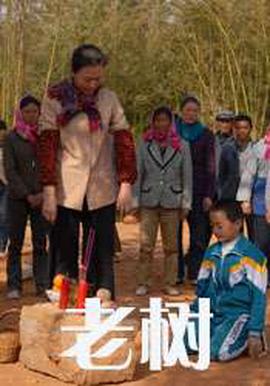 子宫的记忆