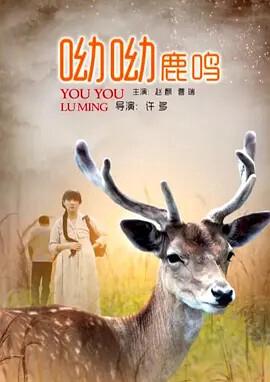 叶问3下载 迅雷下载