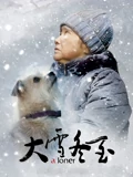 tvb西游记陈浩民粤语版