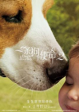 24小时在线字幕播放视频