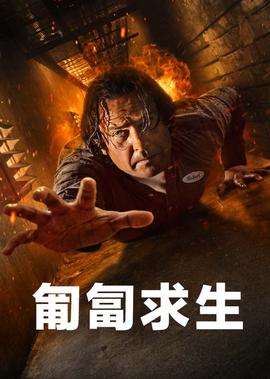 金刚大战哥斯拉国语完整版