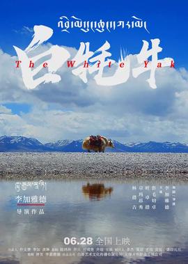 特殊身份的警官小说