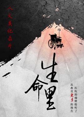 最好的我们免费观看西瓜视频