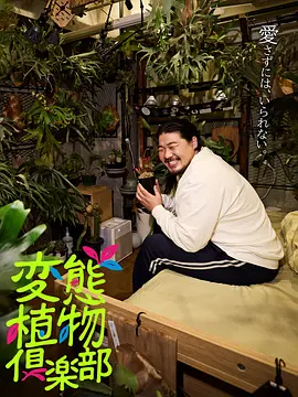叶问4在线播放观看