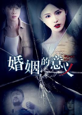 笨贼妙探国语下载