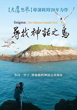 大丫鬟剧情介绍演员表