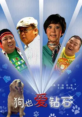 银翼的魔术师