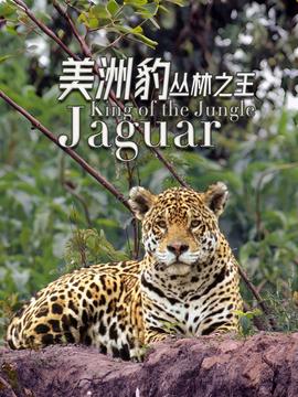 家有儿女2免费云播