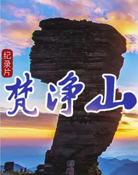 新版再见艳阳天